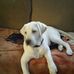 Renee Hackett - Facebook