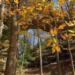 Renee Hamm - @liferealizednature - Instagram