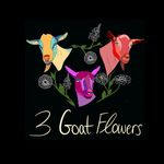 Renee Hansen - @3_goat_flowers - Instagram
