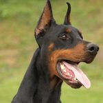 Renè Häntzschel - @renehantzschel - Instagram