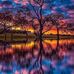 Renee Henning - Facebook