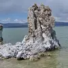 reneehenningirvin - @reneehenningirvin - TikTok