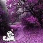 Laura Renee Herndon Young - @tesanda32 - Instagram