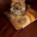 Renee Herndon - Facebook