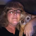 Renee Hild - @reneehild - Instagram
