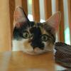 reneehooper648 - @reneehooper648 - TikTok