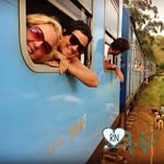 Renee Lynn Horney - @renee.horney - Instagram