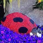 DrKaren Renee Houle - @drkarenrenee - Instagram