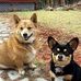 Renee Houle - Facebook