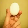 Renee Houser795 - @ren.n64 - TikTok