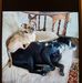 Renee Houser - Facebook