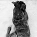 Renee Hudson - Facebook