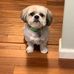 Renee Hyde - Facebook