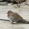 reneejain15 - @reneejain15 - TikTok