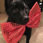 Renee L. Riggs-Kaiser - @reneeriggskaiser - Instagram