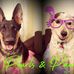 Renee Katzer - Facebook