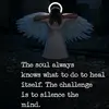 Renee Katzer - @reneekatzer2 - TikTok