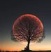Renee Kellum - Facebook