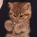 Renee Kellum - Facebook