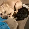 reneekellum439 - @reneekellum439 - TikTok