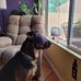 Renee Kishbaugh - Facebook