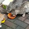 Renee Krause - @renee.krause7 - TikTok
