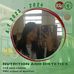 Kyle Renee Capellan - Facebook
