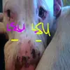 laneywebrerenee - @laneywebrerenee - TikTok