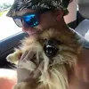 Rene Lauzon - @rene.lauzon2 - TikTok