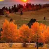 Renee Leach - @trigrhapigrl75 - TikTok