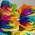 Renee Lilly - Facebook