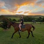 Renee Linton - @neigh_neigh4691 - Instagram