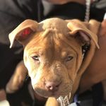 Renee - @renee_lohat - Instagram