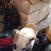 Renee Luft - Facebook