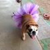 Renee MacDougall - Facebook