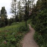 Renee MacKenzie - @reneemackenzie3003 - Instagram