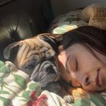 Reneé Macklin - @reneemacklin - Instagram