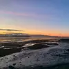 reneenae.main - @reneenae.main - TikTok