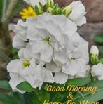 Rana Malik - Facebook