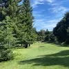 renee and marcus - @letsplaygolf - TikTok