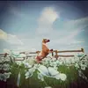 Renee Masterhill - @xxreneemasterhillxx - TikTok