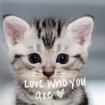 Monique Renee Masters - @quiquemonique - Instagram