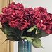 Renee Masters - Facebook