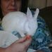 Renee Masters - Facebook