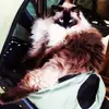 Renee Masterson - @renee.masterson - TikTok