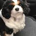 Renee Mccarter - Facebook