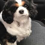 Renee Mccarter - @mccarter3740 - Instagram