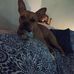 Renae McClure - Facebook