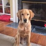 Renee McCormack Klatt - @rklizzy7 - Instagram