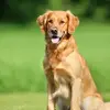 renee.mclean1978 - @renee.mclean1978 - TikTok